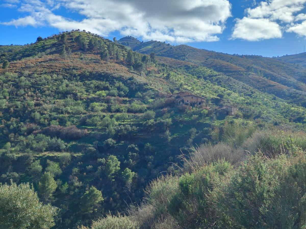 Cortijo Vacas Gordas Villa