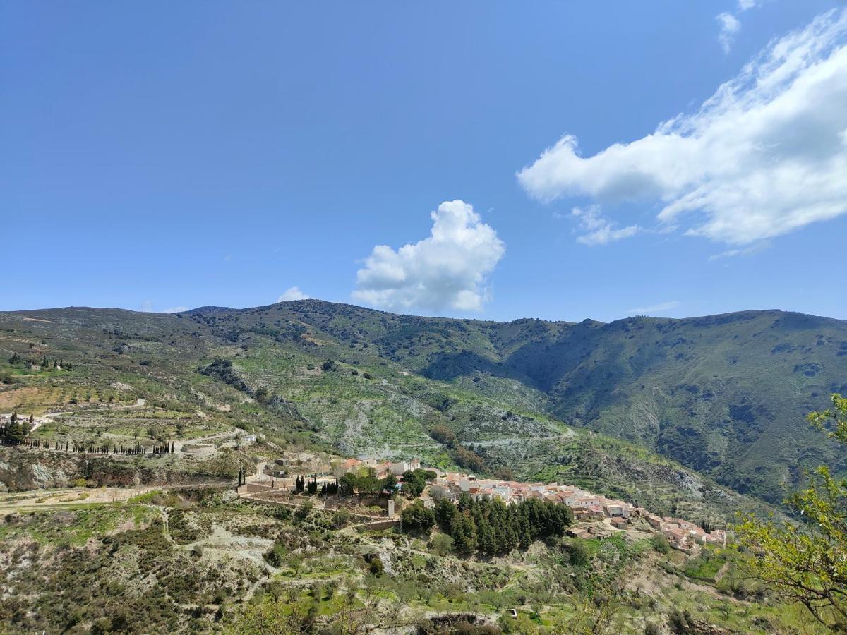 Cortijo Vacas Gordas