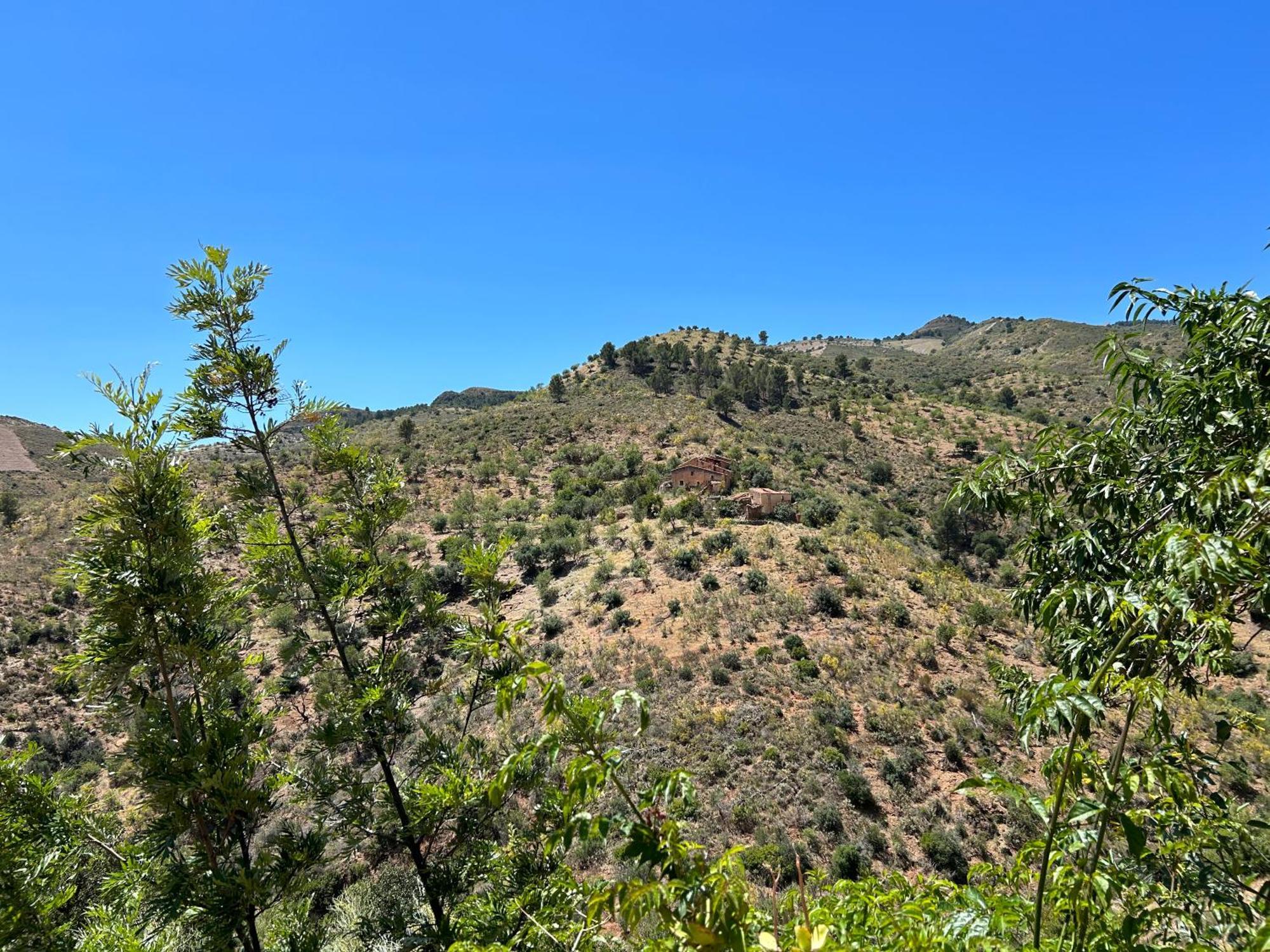 Villa Cortijo Vacas Gordas