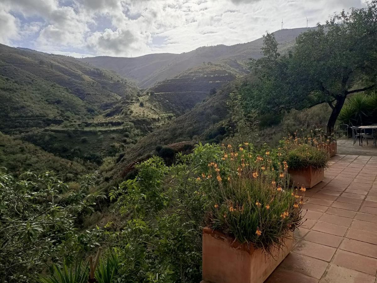 Villa Cortijo Vacas Gordas